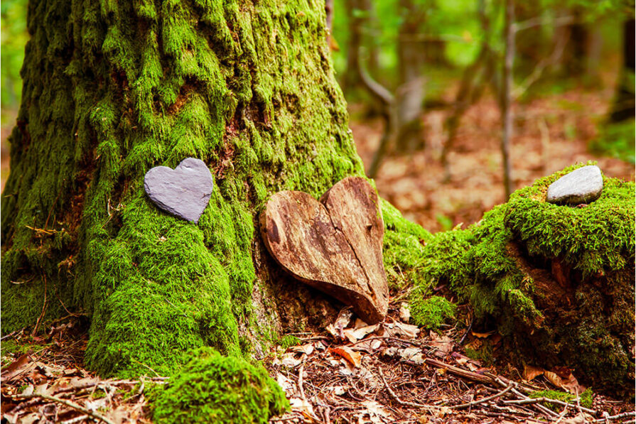 Three heart-shaped objects—one stone, one wood, and one slate—rest on mossy ground and tree roots in a green forest, creating a natural and whimsical woodland scene.